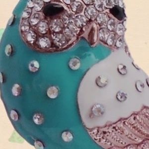 Betsey Johnson Jewelry - Betsey Johnson Teal Enamel and Crystal Owl Betsey Johnson Jewelry - Betsey Johnson Teal Enamel and Crystal Owl